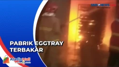 Diduga  Oven Meledak, Pabrik Eggtray Terbakar di Blitar