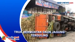 Kelebihan Muatan, Truk Bermuatan Daun Jagung Terguling