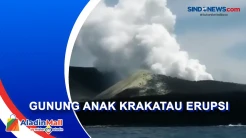 Semburkan Abu hingga 500 Meter, Gunung Anak Krakatau Erupsi 8 Kali
