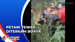 Pencarian Selama 6 Jam, Jasad Petani di Riau yang Tewas Diterkam Buaya Ditemukan