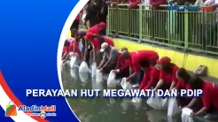 Perayaan HUT Megawati dan PDIP di Jogjakarta Dimeriahkan dengan Tabur Bibit Ikan