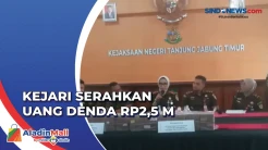 Kejari Tanjung Jabung Timur Setorkan Uang Denda Pembakaran Lahan Rp2,5 M ke Kas Negara