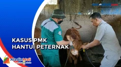 Kasus PMK di Jawa Timur Meningkat Tajam