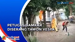 Kendala pada APD, 3 Petugas Damkar Disengat Tawon Vespa