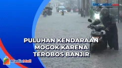 Nekad Lintasi Banjir, Puluhan Kendaraan Mogok di Jalan Ceger Raya Banten