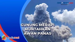 Gunung Merapi Kembali Semburkan Awan Panas Guguran