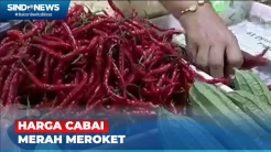 Hari Kedua Lebaran, Harga Cabai Merah Tembus Rp125 Ribu per Kilogram di Palangka Raya