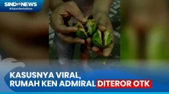 Rumah Keluarga Ken Admiral Diteror OTK Usai Kasusnya Viral