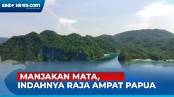 Sensasi Indahnya Pantai Pasir Putih di Pulau Waitunu Raja Ampat