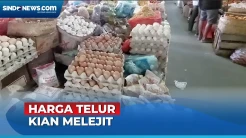 Harga Telur Ayam Ukuran Jumbo di Karangasem Tembus Rp62 Ribu per Krat