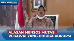 Mutasi Pegawai Terkait Dugaan Korupsi Bansos Beras, Mensos: Saya Butuh Aman