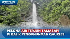 Keindahan Air Terjun Tersembunyi di Tengah Hutan Mamuju