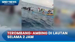 Viral! Proses Evakuasi 6 ABK Kapal Tenggelam di Banyuwangi oleh Nelayan