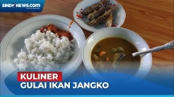 Kuliner Khas Aceh, Lembutnya Daging Ikan Jangko Berpadu dengan Kuah Asam Pedas