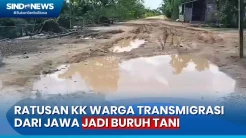 Diduga Ulah Mafia Tanah, 13 Tahun Ratusan KK Warga Transmigran di Jambi jadi Buruh Tani