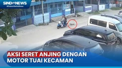 Sadis! 2 Pencuri Seret Anjing dengan Sepeda Motor di Singkawang