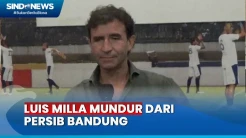 Mengejutkan! Luis Milla Mundur sebagai Pelatih Persib