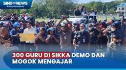 300 Guru di Sikka Demo, Dipicu Dugaan Ada Oknum Sunat Dana Sertifikasi