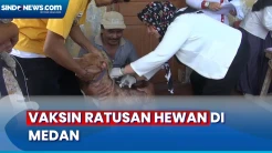 Vaksin Gratis Ratusan Anjing dan Kucing di Medan