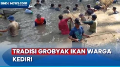 Ratusan Warga Kediri Buru 1 Ton Ikan untuk Peringati Bulan Suro