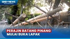 Mulai Marak di Jakarta, Perajin Pohon Pinang Pajang Dagangan