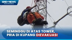 Pria di Kupang Minta Dievakuasi  Setelah Seminggu di Atas Tower, Tuntutan Ingin Bertemu Presiden