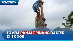Lomba Panjat Pinang Unik di Bogor, Peserta Lomba Wajib Pakai Daster