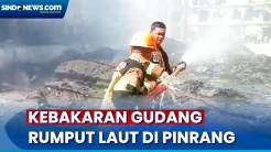 Akibat Cuaca Panas, Gudang Rumput Laut di Pinrang Kebakaran