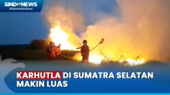 Jelang Puncak Kemarau, Kebakaran Hutan di Sumsel Semakin Meluas
