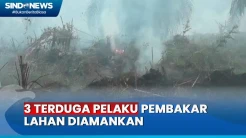 Satgas Karhutla Amankan 3 Terduga Pelaku Pembakar Lahan di Muarojambi