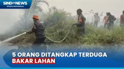 Terduga Bakar Lahan,  Satgas Karhutla Amankan 5 Orang di Jambi