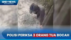 Diduga Mabuk, Bocah...