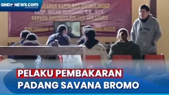 Viral! Penampakan Pelaku Pembakaran Kawasan Padang Savana Bromo