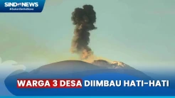 Gunung Api Ile Lewotolok Pagi Ini Erupsi,  Kolom Abu Capai Ketinggian 600 Meter