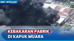 Pabrik Sendal di Kapuk Muara Hangus Terbakar, Warga Mengaku Dengar Ledakan
