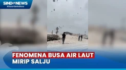 Busa Air Laut Mirip Salju Banjiri Pesisir Pantai Nova Scotia Kanada