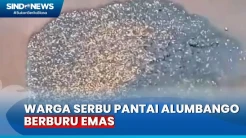 Warga Gorontalo Serbu Pantai Alumbango, Dipicu Penemuan Butiran Emas