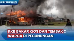 KKB Kembali Berulah, Bakar Kios dan Tembak 2 Warga di Pegunungan Bintang