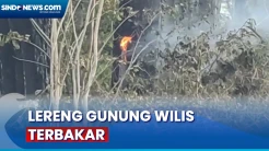 Lereng Gunung Wilis Terbakar, BPBD Imbau Warga Tidak Buka Lahan di Area Hutan