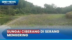 Warga Serang Alami Krisis Air Bersih Usai Sungai Ciberang Mengering