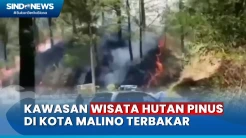 Kebakaran di Kawasan Wisata Hutan Pinus Kota Malino Dekati Permukiman Warga