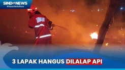 Diduga Ada Percikan Api dari Kabel Listrik, 3 Lapak di Kamal Muara Hangus