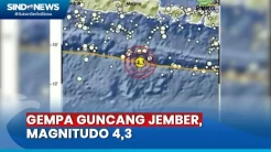 Pagi Ini, Jember Diguncang Gempa Magnitudo 4,3