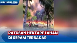 Ratusan Hektare Hutan dan Lahan Warga Ludes Terbakar di Seram Bagian Barat