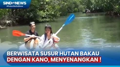Menikmati Wisata Susur Hutan Bakau dengan Menggunakan Kano