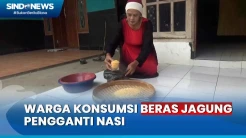 Mengenal Beras Jagung, Variasi Pengganti Nasi Sebagai Sumber Karbohidrat