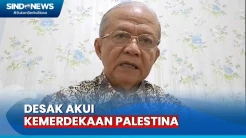 MUI Desak Dunia Internasional Akui Kemerdekaan Palestina