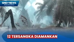 Polisi Amankan 12 Tersangka Karhutla di Jambi