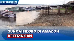 Amazon, Hutan Hujan Terbesar di Dunia Alami Kekeringan Terburuk