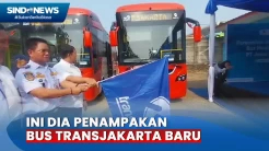 Transjakarta Tambah 73 Unit Bus Medium dari Operator Baru, 12 Mengaspal Hari Ini